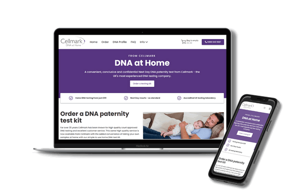 Website Updated Blog Preview